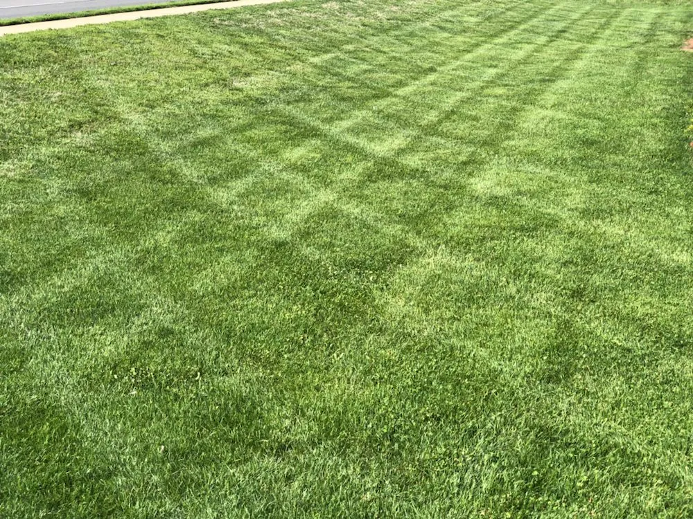 Expert outdoor landscaping experts serving Bowling Green, KY - Martin's Lawn Care