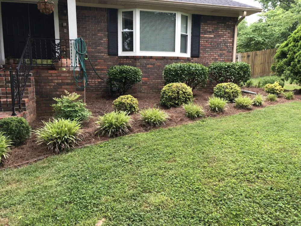 Trusted outdoor landscaping for homes across Bowling Green, KY - Martin's Lawn Care