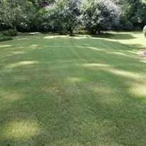 Custom landscape installation near you in Gray, GA by Martins Lawn Care