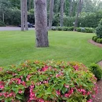 Top-rated residential landscaping in Gray, GA - Martins Lawn Care