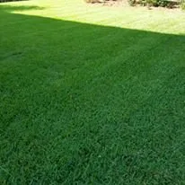 Trusted yard cleanup service for year-round maintenance in Gray, GA by Martins Lawn Care