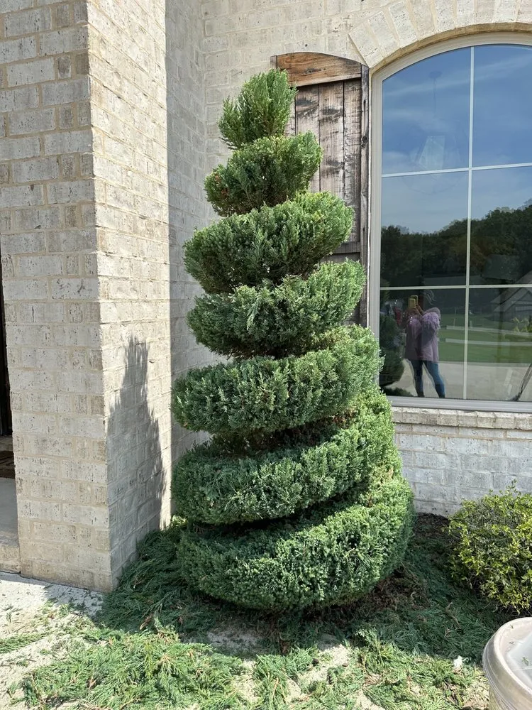 Local lawn care service in Jonesboro, AR by Martin’s Lawn Care