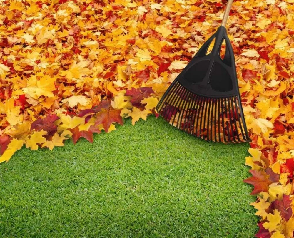 Trusted lawn mowing service for homes across Gilroy, CA - Martin's Lawn Mowing And Leaf Cleanup Services