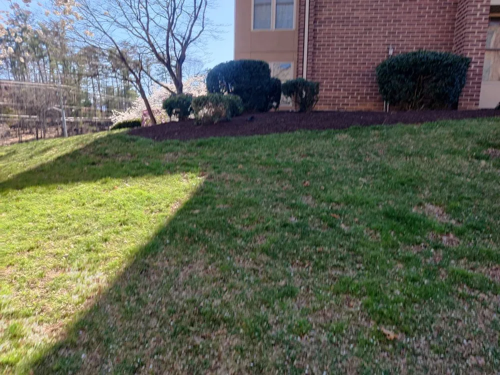 Expert lawn care service in Ferrum, VA by Martins Lawncare And Tree Services