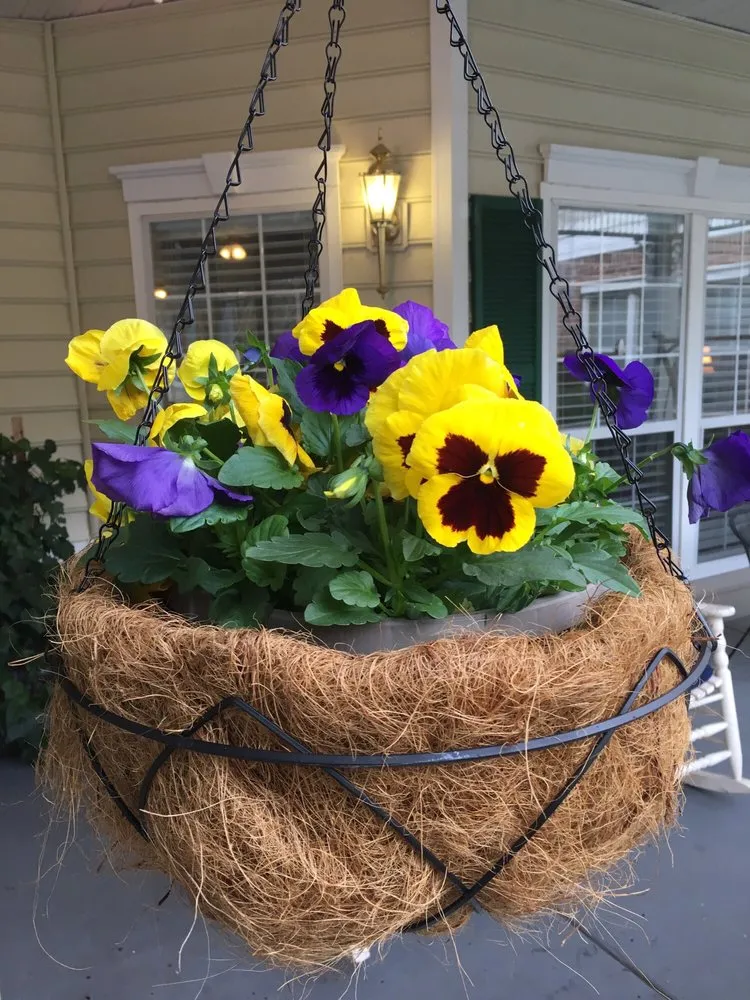 Local lawn care service for homes in Florence, SC by Martins Lawncare Landscaping & Irrigation