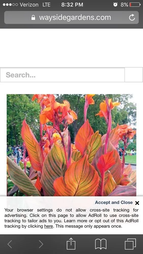 Expert lawn mowing service experts serving Florence, SC - Martins Lawncare Landscaping & Irrigation