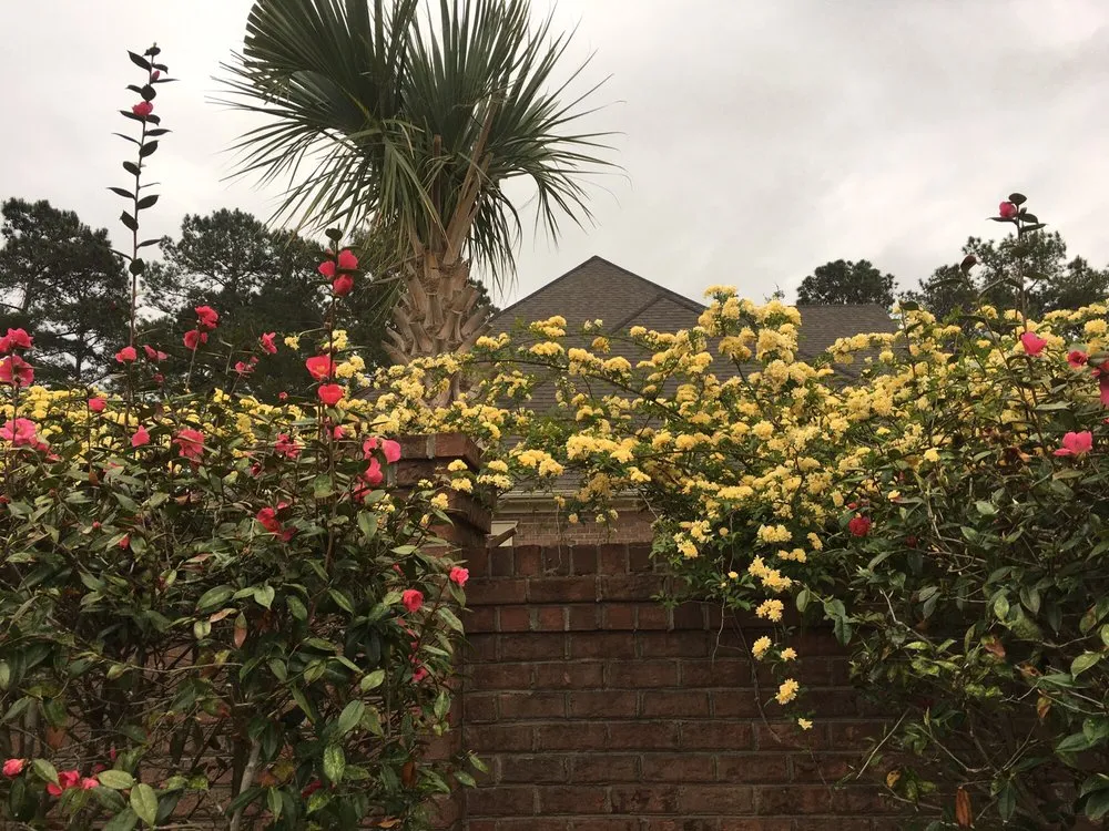 Affordable landscape design in Florence, SC - Martins Lawncare Landscaping & Irrigation