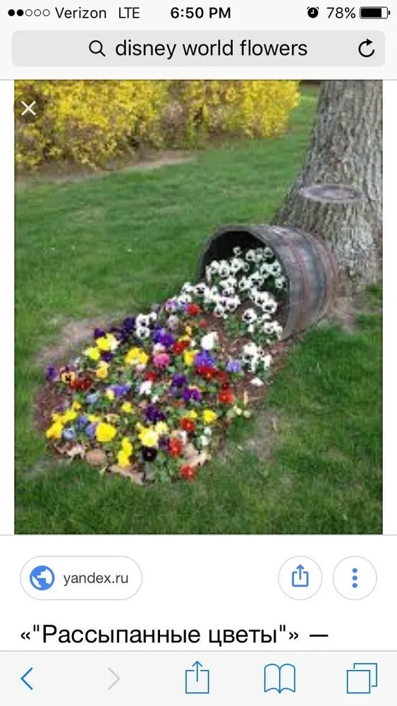 Top-rated landscaping services in Florence, SC by Martins Lawncare Landscaping & Irrigation