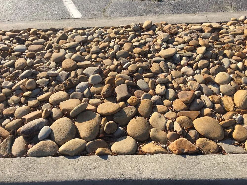 Affordable landscaping services experts serving Florence, SC - Martins Lawncare Landscaping & Irrigation