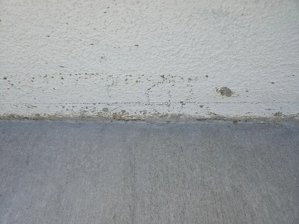 Reliable landscaping services in Liberty Hill, TX by Martin's Masonry & Landscaping