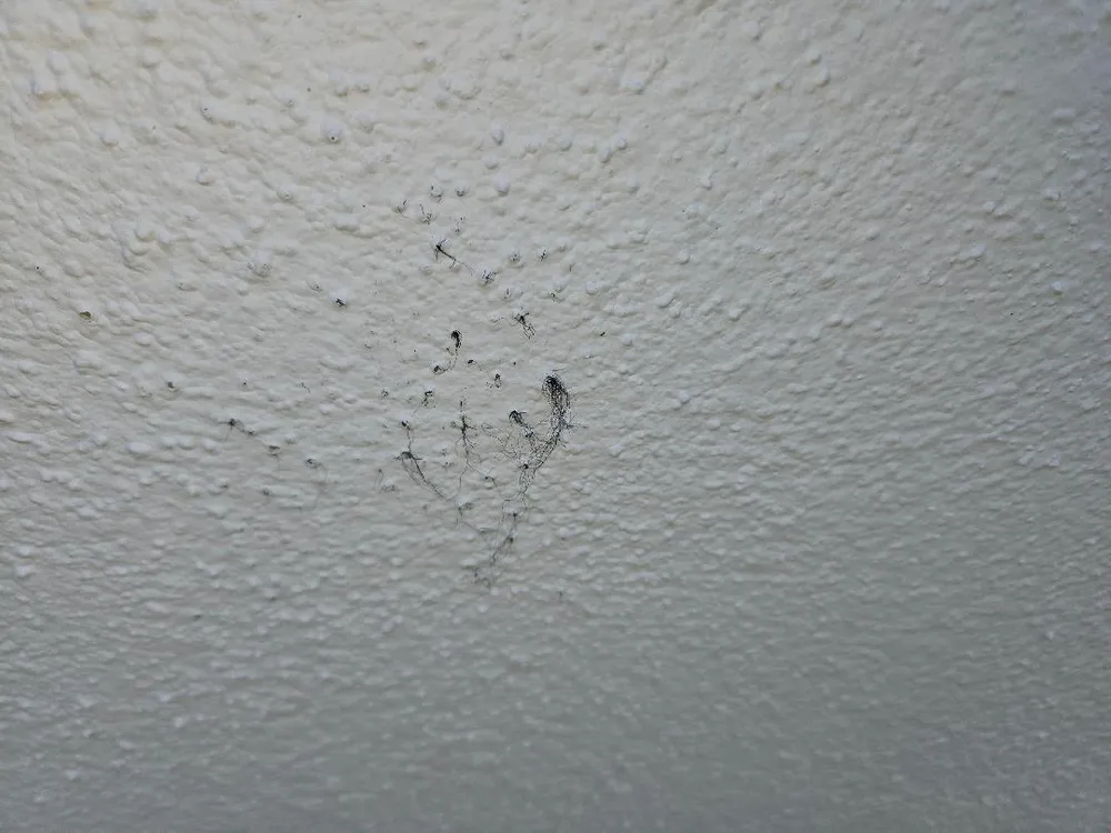 Top-rated landscape installation experts serving Liberty Hill, TX - Martin's Masonry & Landscaping