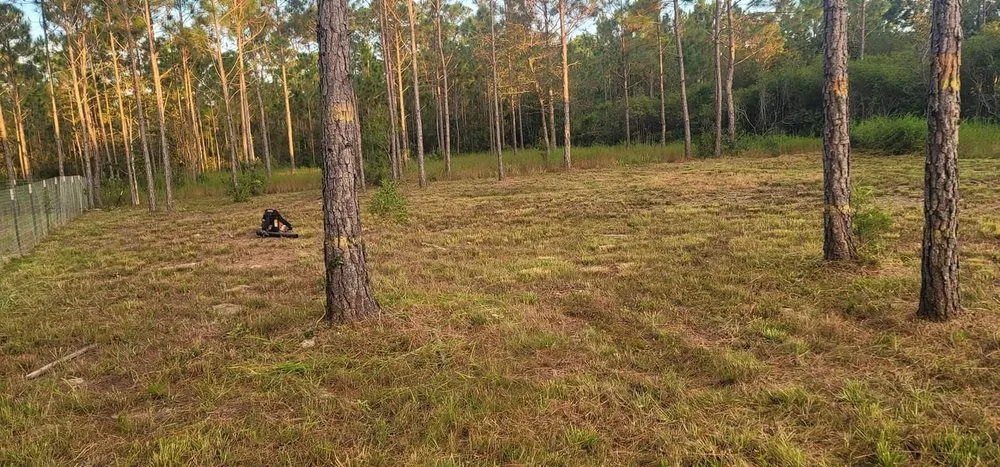 Expert outdoor landscaping in Ocean Springs, MS - Martin's Mow And Maintenance