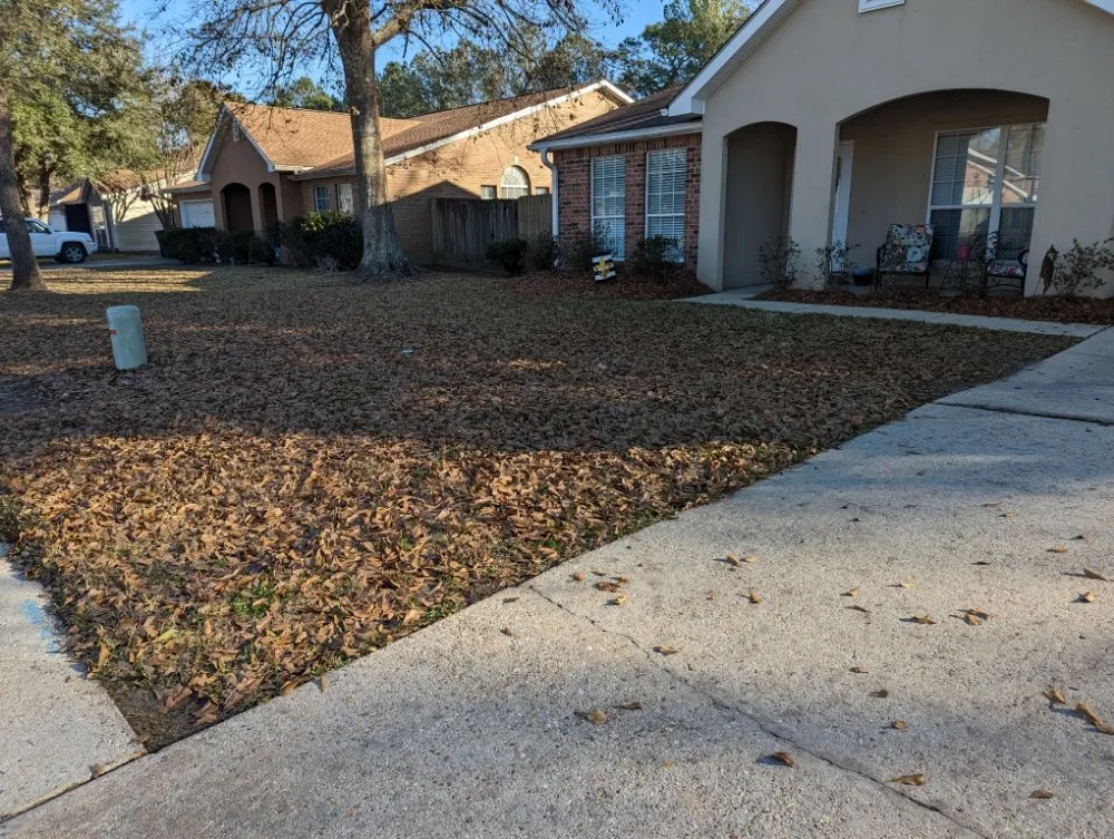 Professional lawn care service experts serving Ocean Springs, MS - Martin's Mow And Maintenance