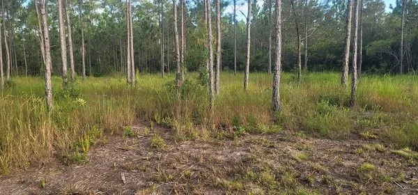 Martin's Mow And Maintenance Logo