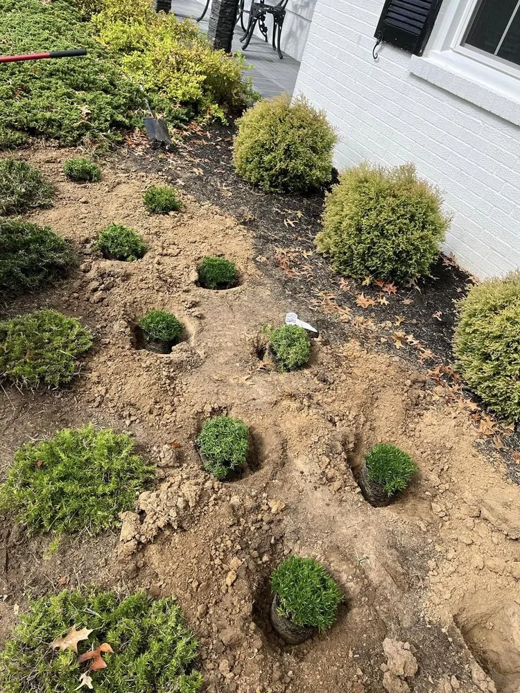 Top-rated lawn mowing service experts serving Crestwood, KY - Martins Mowing