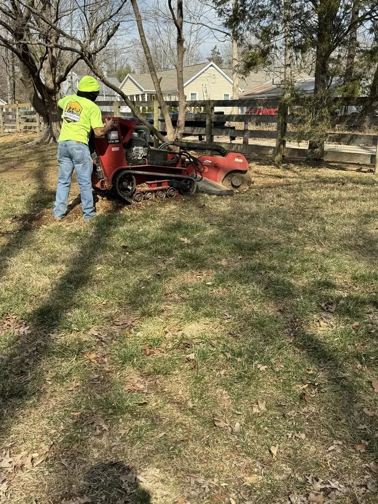 Trusted yard cleanup service in Crestwood, KY - Martins Mowing