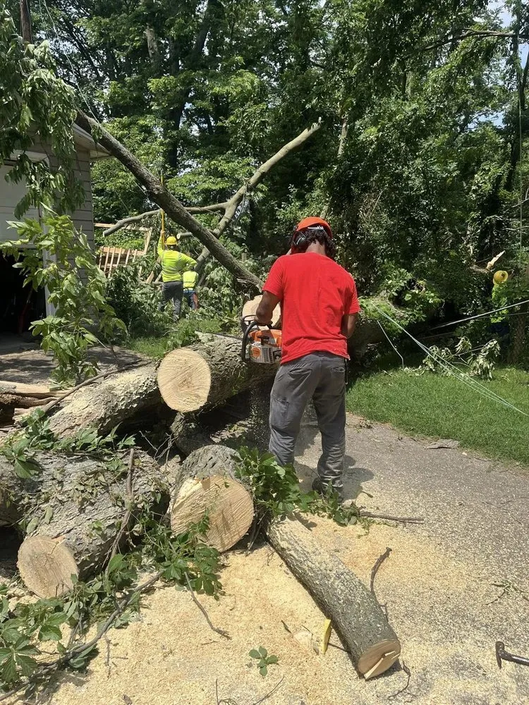 Local yard cleanup service in Crestwood, KY by Martins Mowing