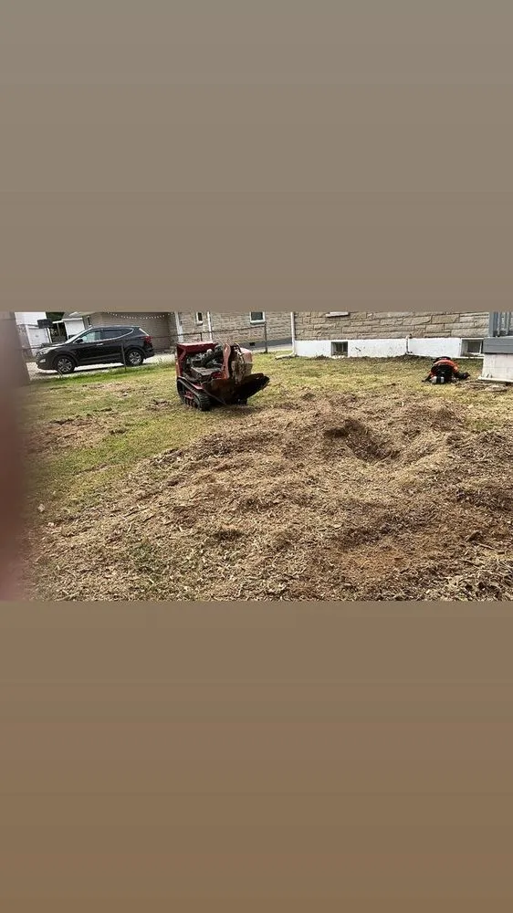 Reliable landscape design in Crestwood, KY - Martins Mowing