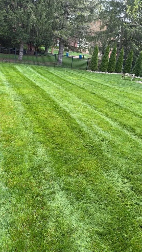 Custom yard cleanup service in Crestwood, KY by Martins Mowing