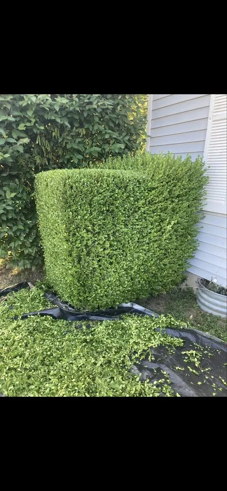 Trusted yard cleanup service in Mount Carmel, IL - Martin’s Mowing