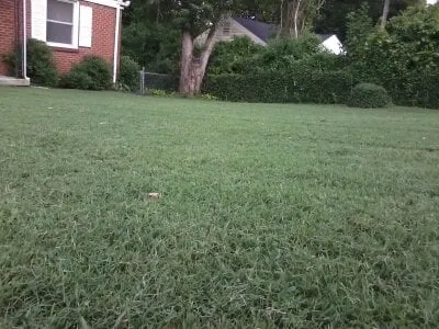 Custom lawn mowing service for residential properties in Nashville, TN by Martin's Mowing