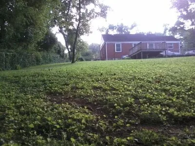 Custom outdoor landscaping for outdoor upgrades across Nashville, TN - Martin's Mowing