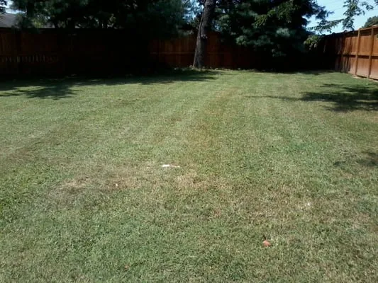 Martin's Mowing Logo