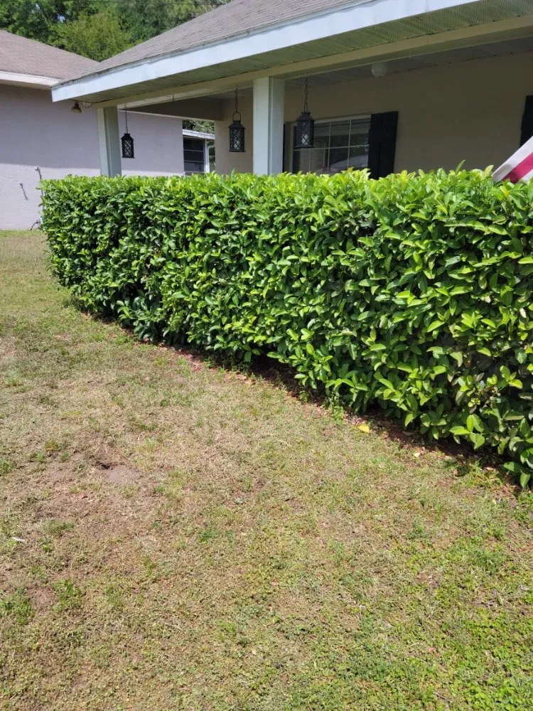 Affordable garden landscaping in Ocala, FL - Martin's mowing