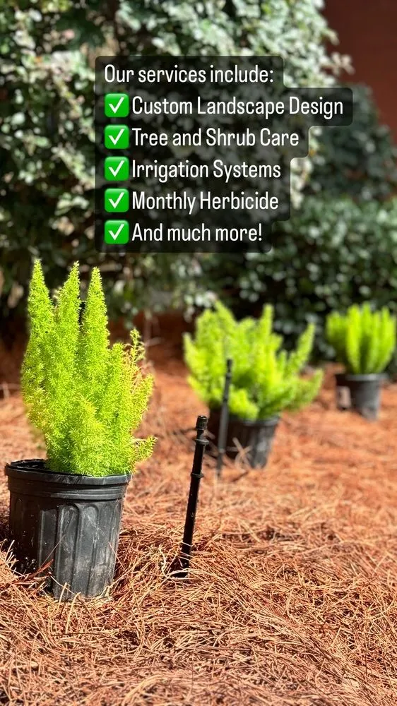 Local lawn mowing service for outdoor upgrades in Luling, LA by Martin's Nursery & Landscape