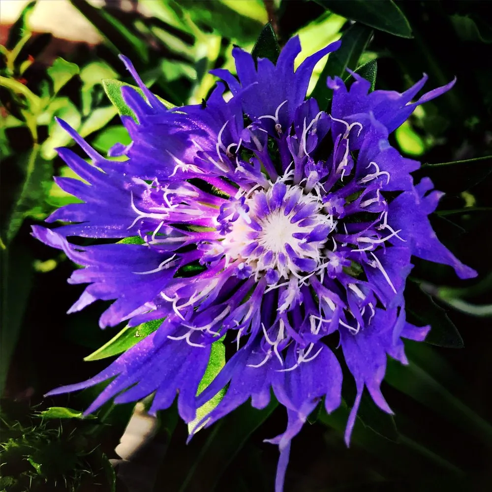 Affordable landscape design in Perry, OH - Martin's Nursery