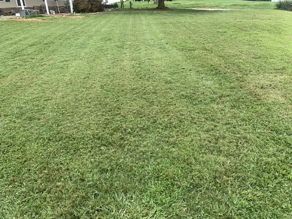 Expert lawn mowing service for residential properties across Morristown, TN - Martins Property Solutions