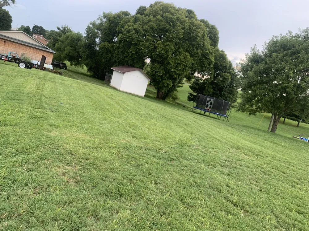 Expert outdoor landscaping in Morristown, TN by Martins Property Solutions