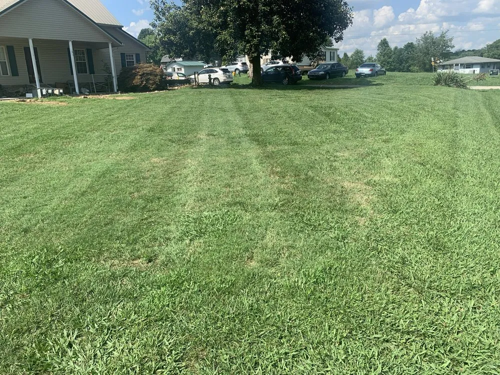 Reliable lawn mowing service in Morristown, TN by Martins Property Solutions