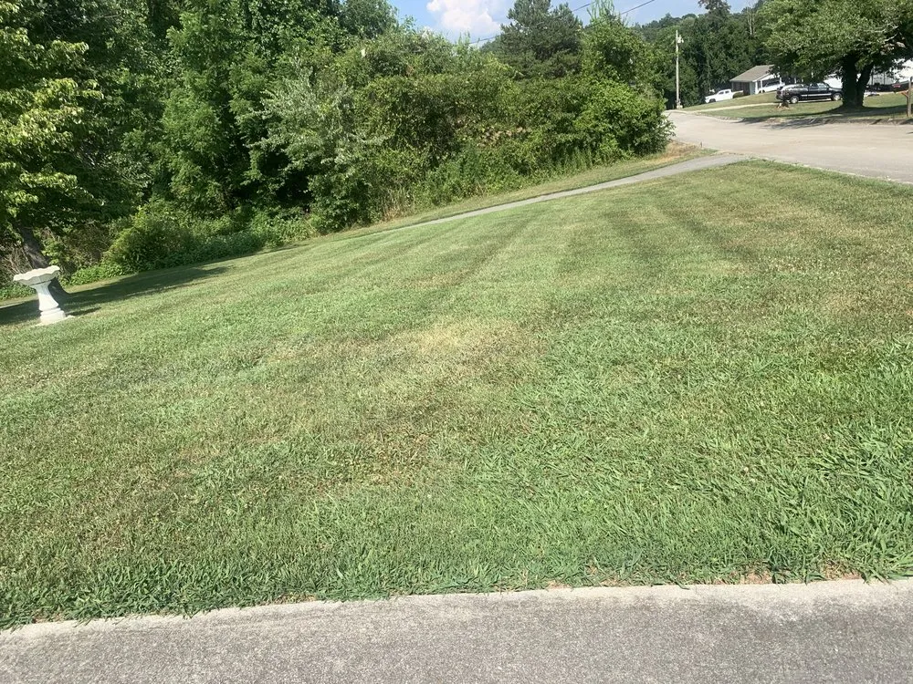 Professional landscape design experts serving Morristown, TN - Martins Property Solutions