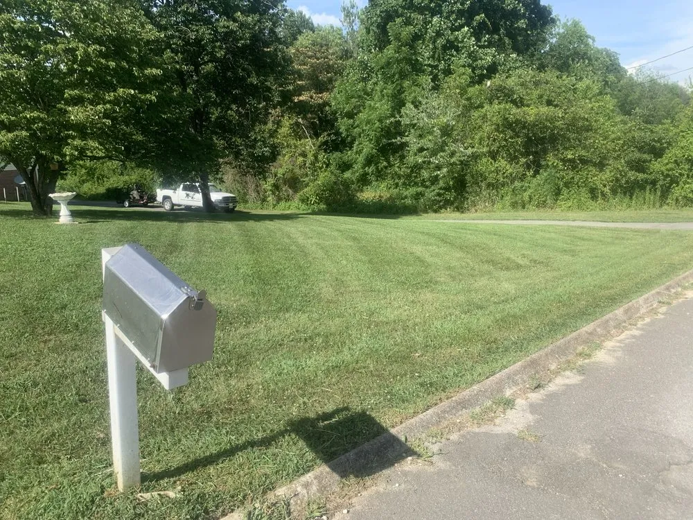 Reliable yard maintenance experts serving Morristown, TN - Martins Property Solutions