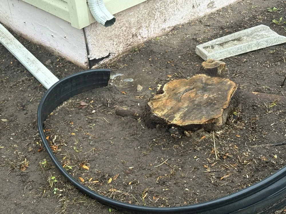 Affordable yard cleanup service in Sheboygan, WI by Martin's Tree Service & Lawn Care