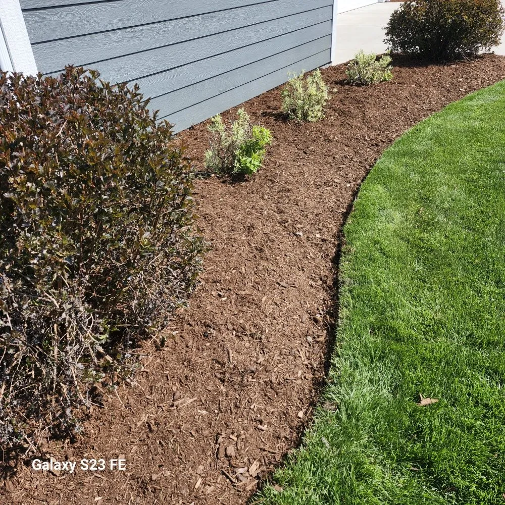 Expert lawn care service in Sheboygan, WI - Martin's Tree Service & Lawn Care