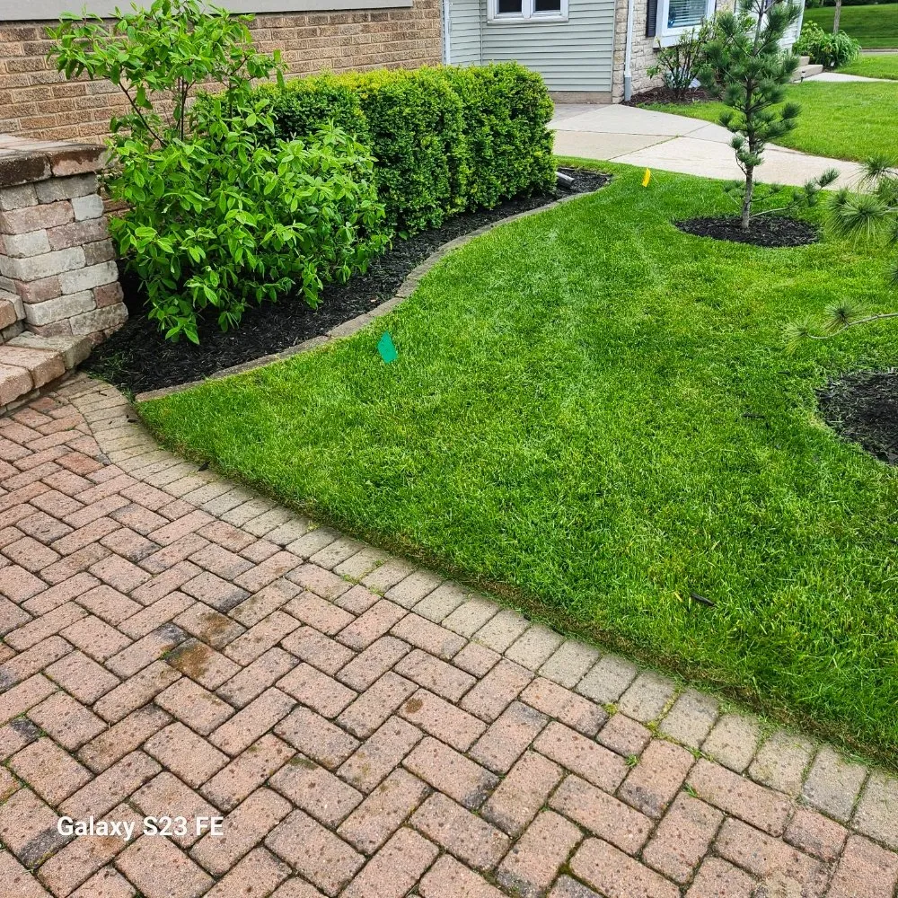 Local outdoor landscaping in Sheboygan, WI - Martin's Tree Service & Lawn Care