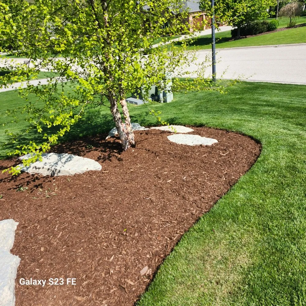 Top-rated yard maintenance experts serving Sheboygan, WI - Martin's Tree Service & Lawn Care