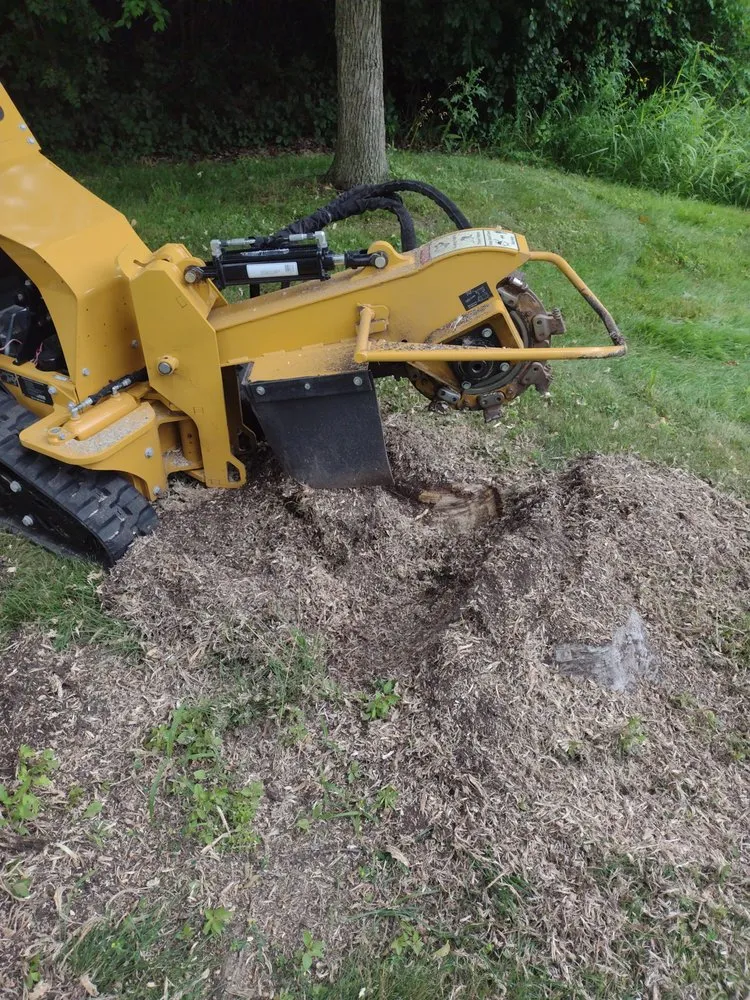 Affordable residential landscaping in Sheboygan, WI by Martin's Tree Service & Lawn Care