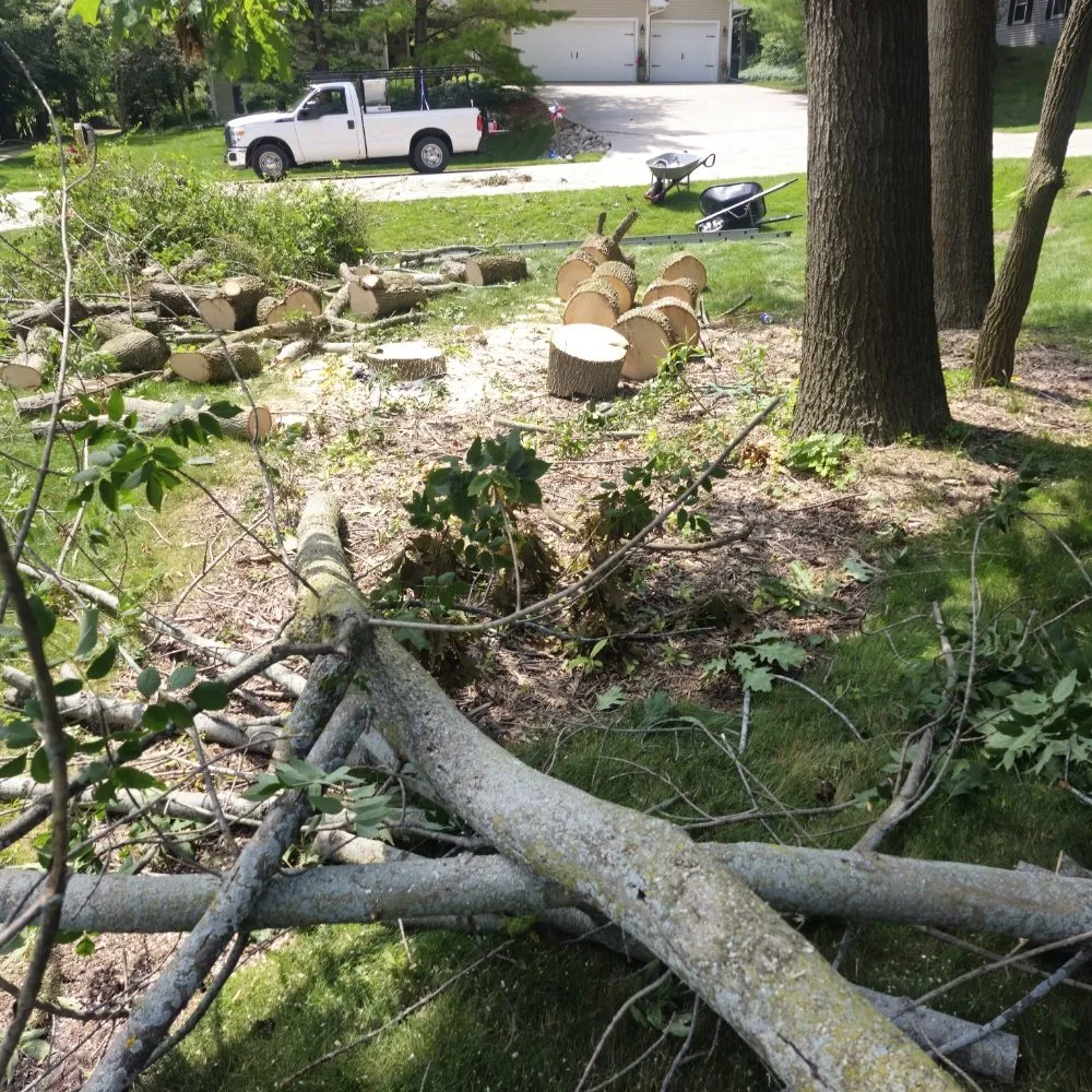 Affordable lawn care service in Sheboygan, WI by Martin's Tree Service & Lawn Care