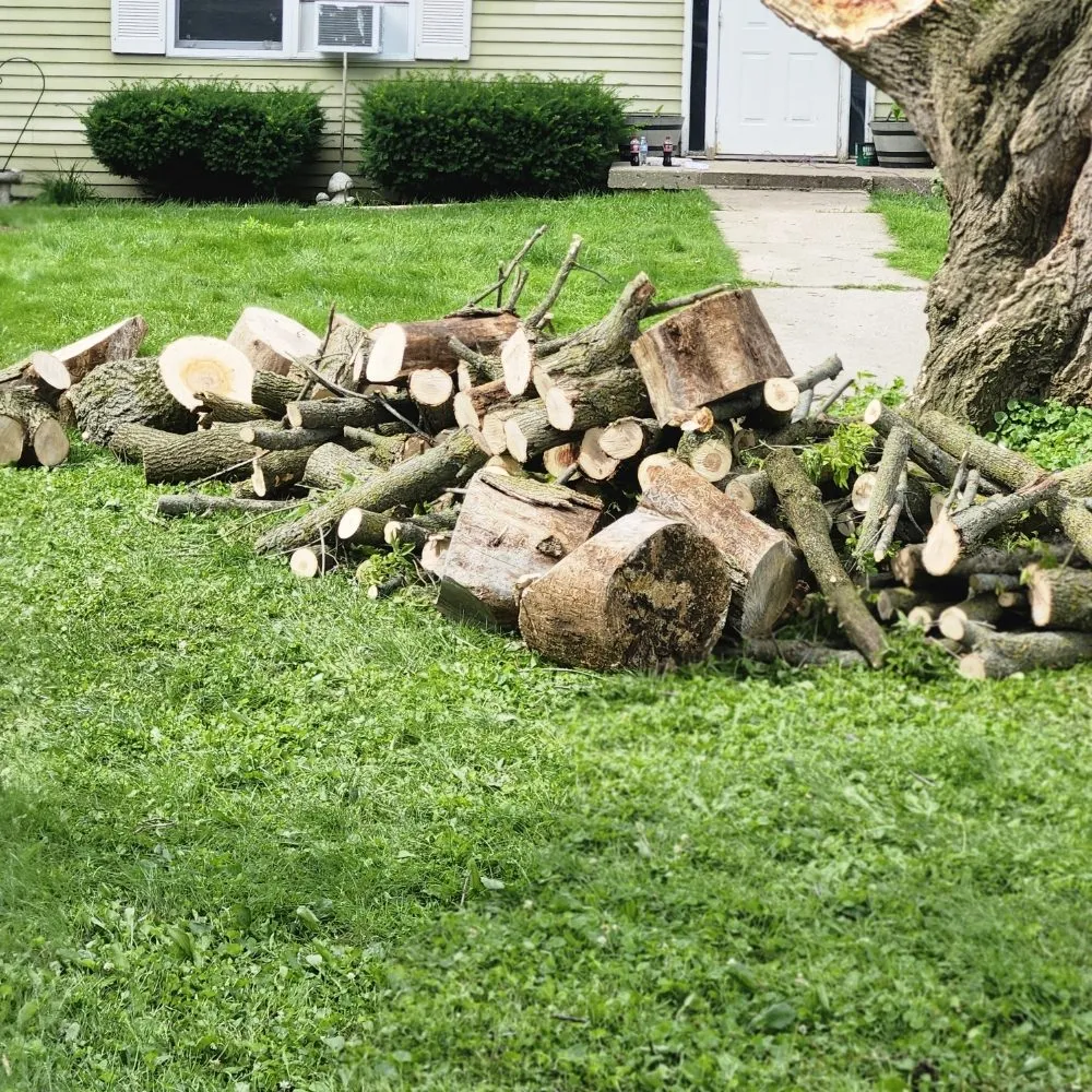Affordable lawn care service in Sheboygan, WI - Martin's Tree Service & Lawn Care