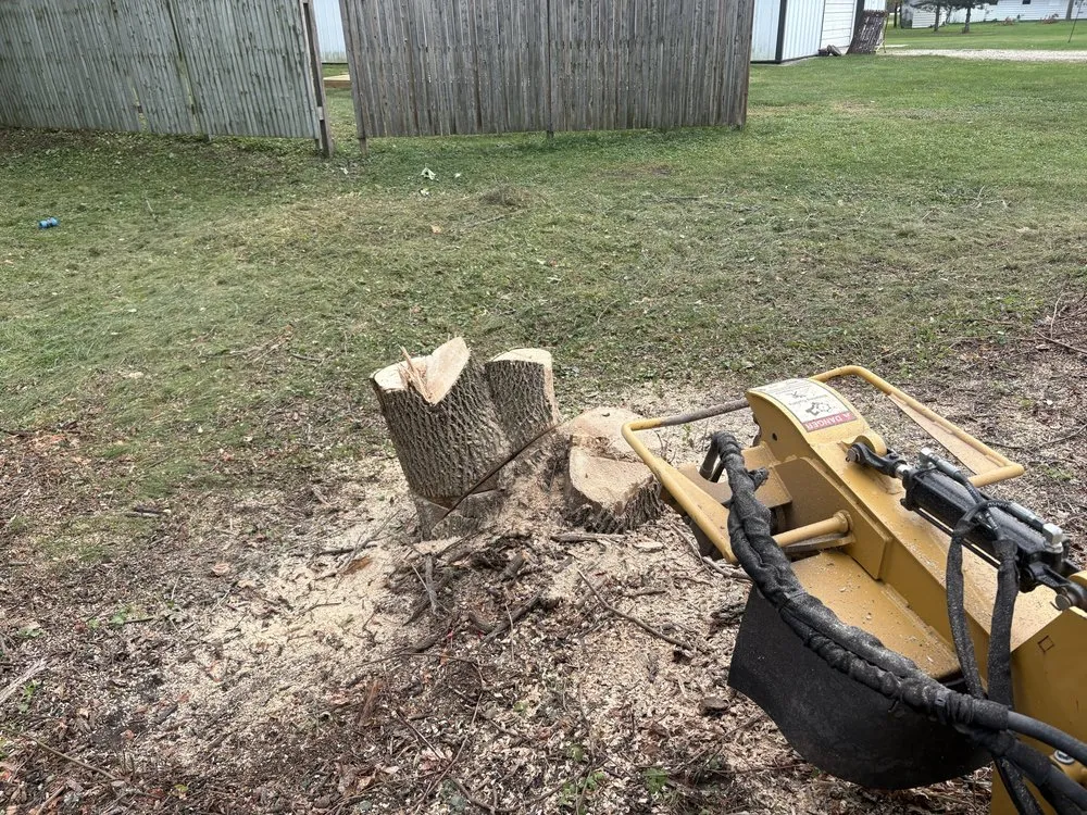 Trusted yard cleanup service with custom design across Sheboygan, WI - Martin's Tree Service & Lawn Care