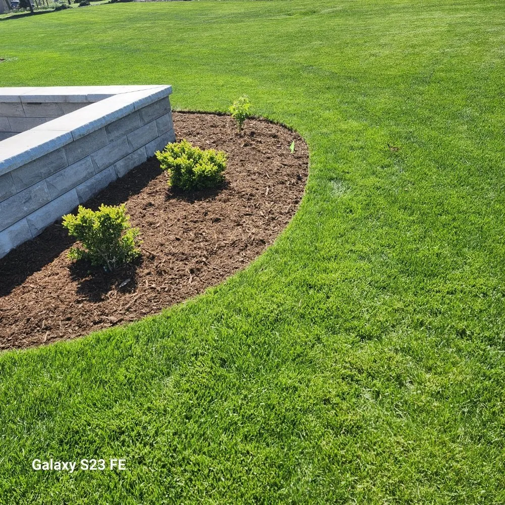 Top-rated yard maintenance in Sheboygan, WI - Martin's Tree Service & Lawn Care