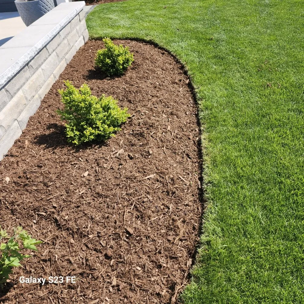 Expert yard cleanup service in Sheboygan, WI by Martin's Tree Service & Lawn Care