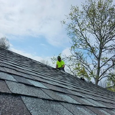 Martin's Tree Service & Lawn Care