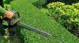 Top-rated landscape installation in Circleville, OH by Martins Tree Service