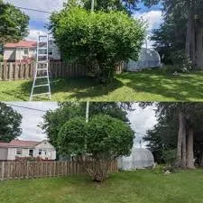 Top-rated landscape design for year-round maintenance across Circleville, OH - Martins Tree Service