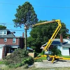 Affordable garden landscaping experts serving Circleville, OH - Martins Tree Service