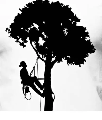 Reliable landscaping services in Troy, IL - Martin’s Tree Service